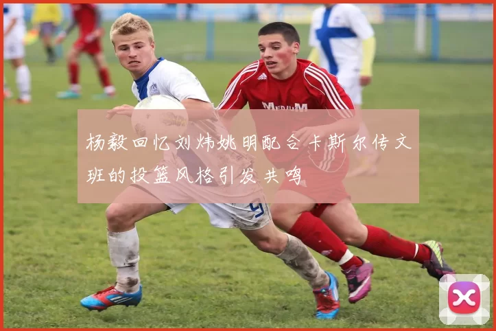 杨毅回忆刘炜姚明配合卡斯尔传文班的投篮风格引发共鸣